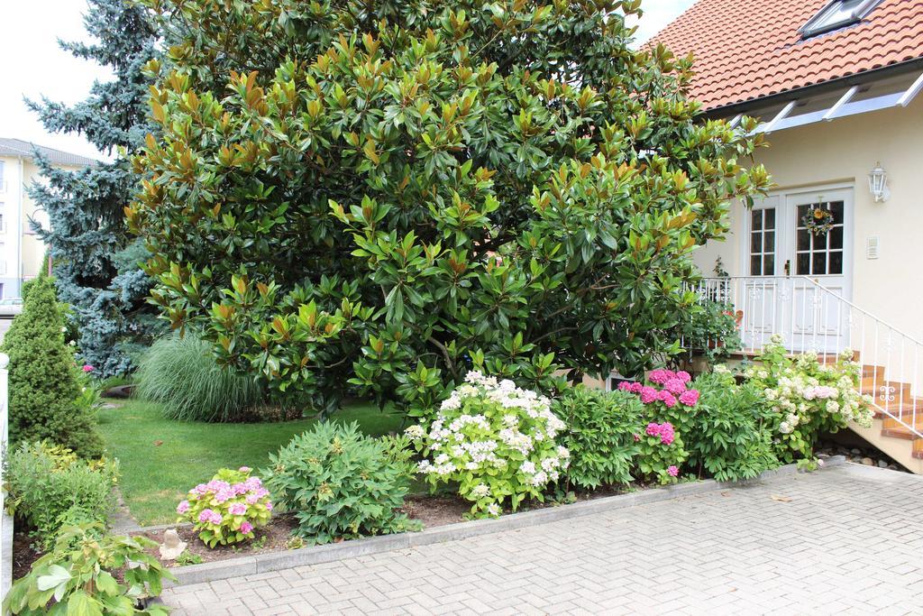 Ferienwohnung Fleck Rust Ngoại thất bức ảnh